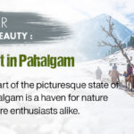 Best Places to Visit in Pahalgam